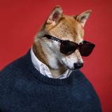 Аватарка канала Пёсельная | Собаки