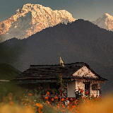 Аватарка канала Свой вектор | Саморазвитие