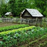 Аватарка канала Survival Farming