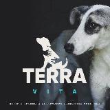 Аватарка канала Terra-vita ( Центр временного содержания бездомных животных)
