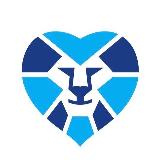 Аватарка канала Волонтеры Зенита 💙