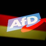 Аватарка канала Alternative für Deutschland AFD Best Of