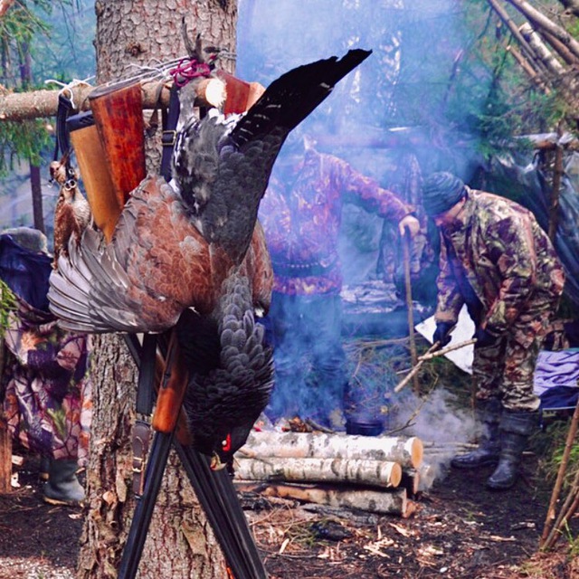 Аватар канала 1705105008