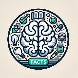 Аватарка канала Интересные Факты 💡