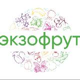 Аватарка канала ЭкзоФрут