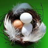 Аватар канала 1929380831