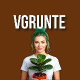 Аватарка канала VGRUNTE 🤎