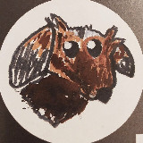 Аватарка канала Миссис Дулиттл - София Царегородцева | зоопсихолог