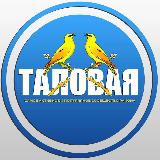 Аватарка канала "ТАЛОВАЯ | НОВОСТИ О ГЛАВНОМ"