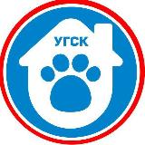 Аватарка канала ГороДог