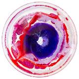 Аватарка канала Дневник микробиолога