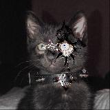 Аватарка канала GODDAUGHTER