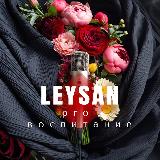 Аватарка канала Leysan про воспитание