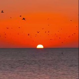 Аватарка канала Рассветы и закаты ✨ Sunrise Sunset✨
