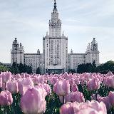 Аватар канала 2498914710