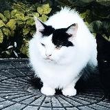 Аватар канала 2003402745