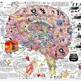 Аватарка канала Вольтаж-зависимый канал