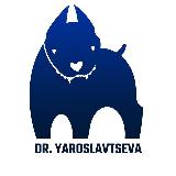 Аватарка канала Dr.yaroslavtseva