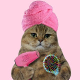 Аватарка канала Я девочка, мне можно!