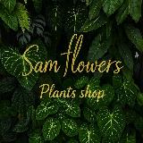 Аватарка канала 𝓢𝓪𝓶 𝓯𝓵𝓸𝔀𝓮𝓻𝓼 𝓼𝓱𝓸𝓹