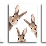 Аватарка канала Hey, я снова мама✌🏻