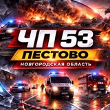 Аватарка канала ЧП 53 Пестово | Новгородская область