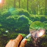 Аватарка канала Organic recycle I ПЕРЕРАБОТКА ОРГАНИКИ ☘