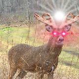 Аватарка канала 🌪Spicy Steamed Memeballs🌪