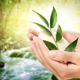 Аватарка канала "Бесплатное здоровье. Рецепты красоты."