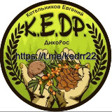 Аватарка канала K.E.D.R 22