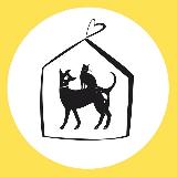 Аватар канала 1436432624