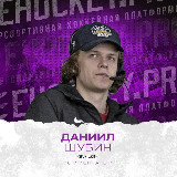 Аватарка канала Хоккей под Шубой