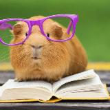 Аватарка канала Власть книжного хомяка