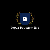 Аватарка канала Город Воронеж | Live