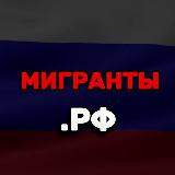 Аватарка канала Мигранты.РФ