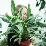 Аватар канала 1668698274