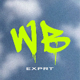 Аватарка канала Wb.Exp