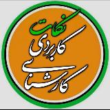 نکات کاربردی و مهم کارشناسی avatar