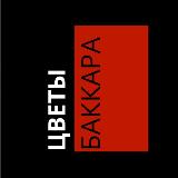 Аватарка канала Блэк Баккара