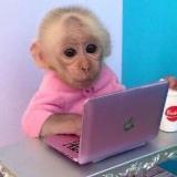 Аватарка канала эсэмэмы