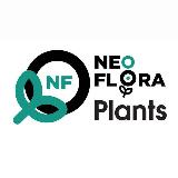 Аватарка канала DENDROTERRA