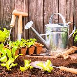 Аватарка канала Дачные секреты🏡