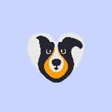 Аватарка канала Приют для собак Щербинка, Москва ЮЗАО