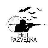 Аватарка канала НгП раZVедка