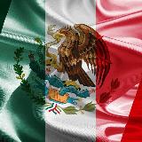 Аватарка канала STOP❌OMS🇲🇽MÉXICO