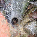 Аватарка канала ilyagargod