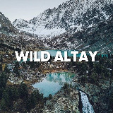 Аватарка канала WILD RUSSIANS | АЛТАЙ