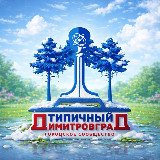 Аватарка канала Типичный Димитровград