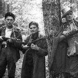 Аватарка канала Партизаны