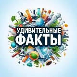 Аватарка канала Удивительные факты